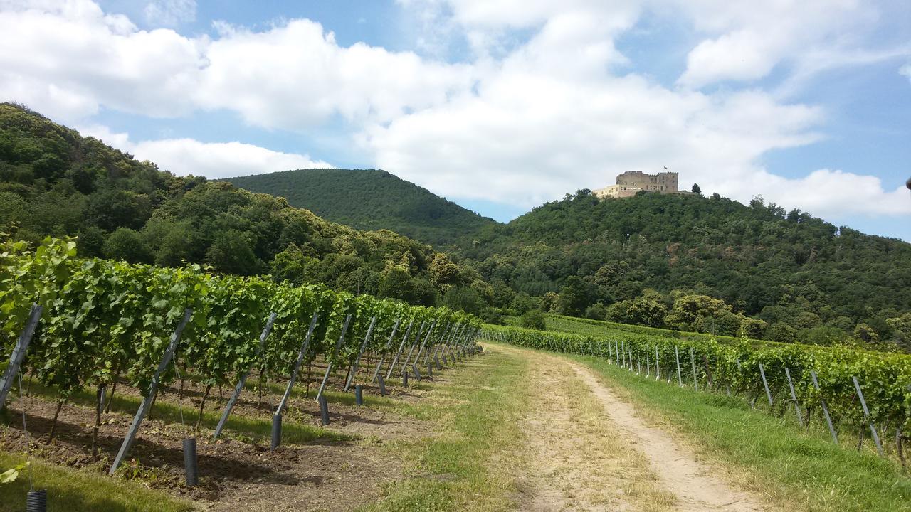 Gaestehaus Weingut Glas Neustadt an der Weinstrasse Luaran gambar